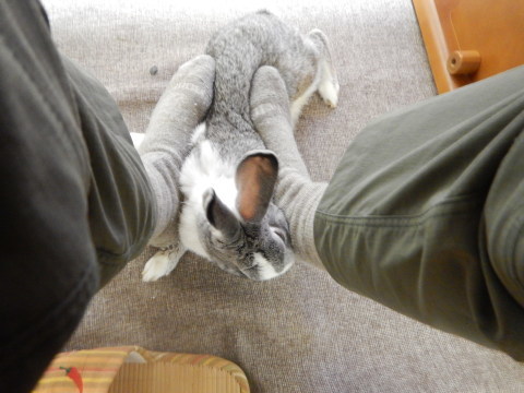 f0118332_00113730.jpg