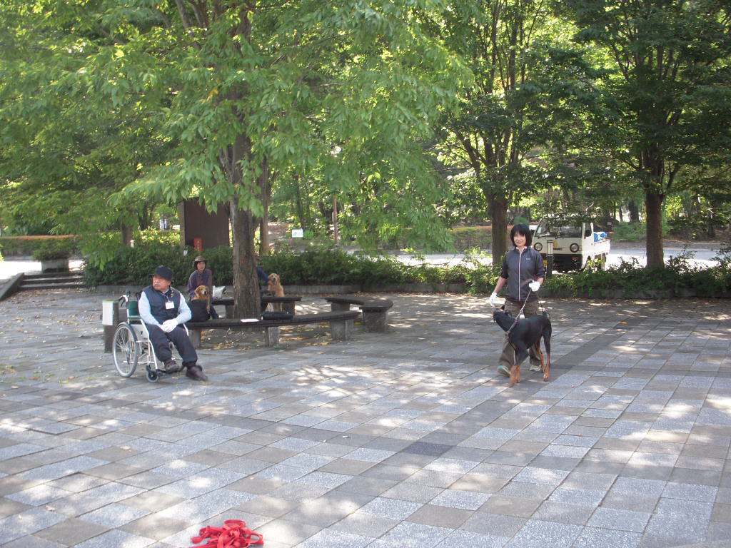c0114833_13235880.jpg