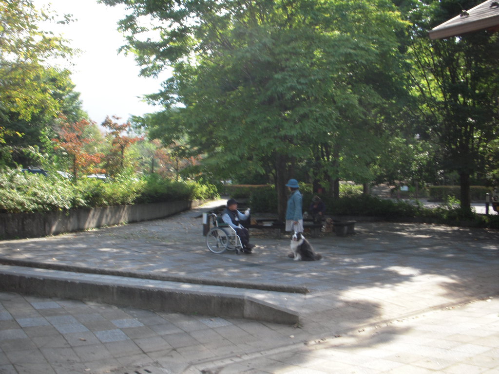 c0114833_13261472.jpg