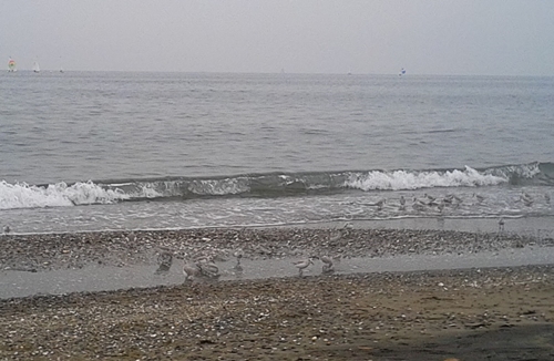 f0034334_22383651.jpg