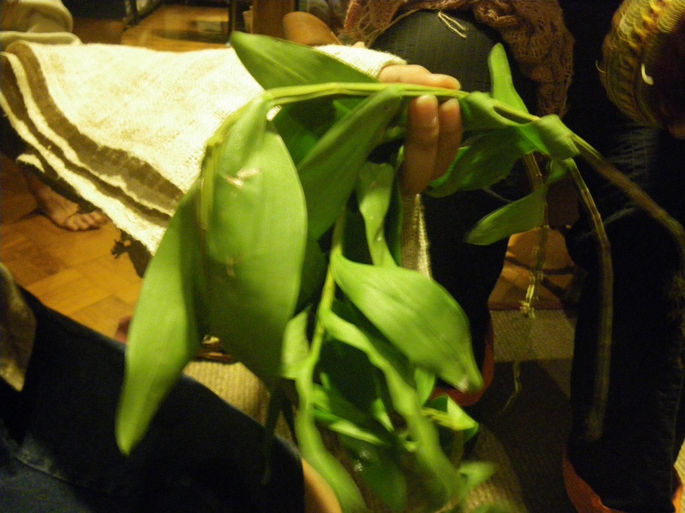 c0033636_19322413.jpg