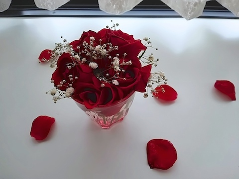 a0123450_11304534.jpg