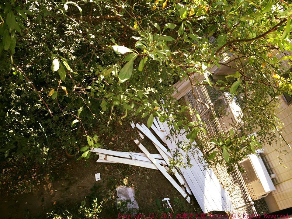 c0169360_00391337.jpg