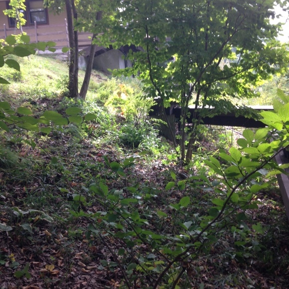 d0152765_19095210.jpeg