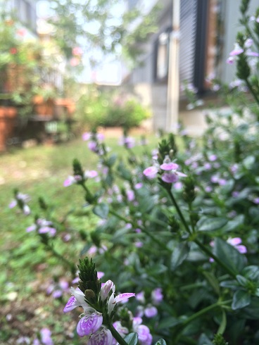 c0299969_103623100.jpg
