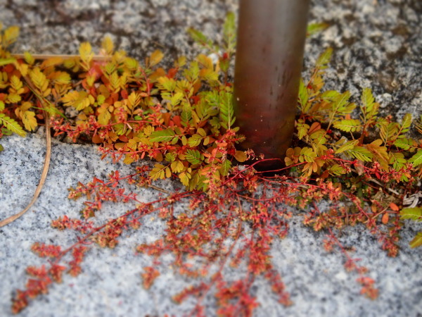 c0122670_20323046.jpg