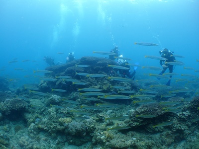 b0033573_18062635.jpg