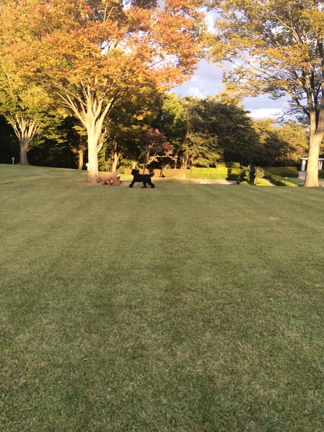 c0283778_1682732.jpg