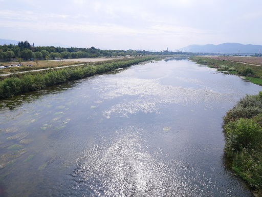 a0140305_021274.jpg
