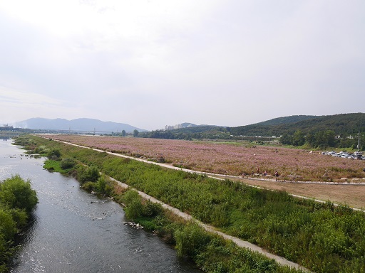 a0140305_02217.jpg