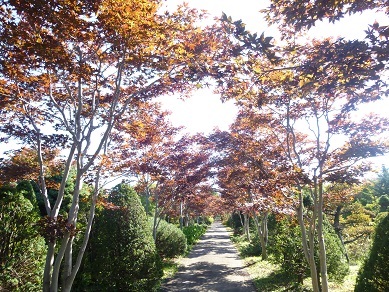b0198109_21520908.jpg