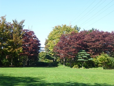 b0198109_21521507.jpg