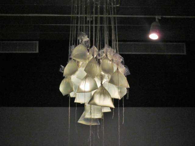 b0064411_04493528.jpg