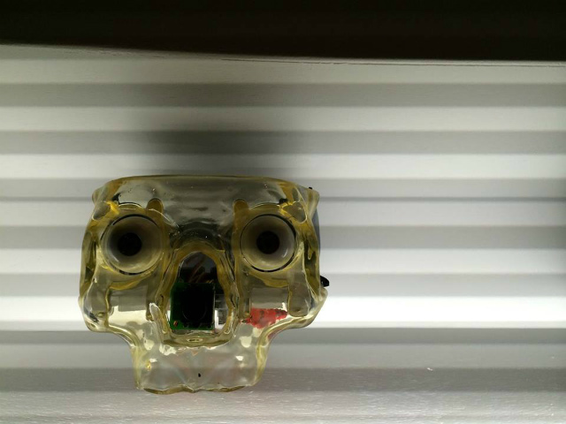 b0064411_05360626.jpg