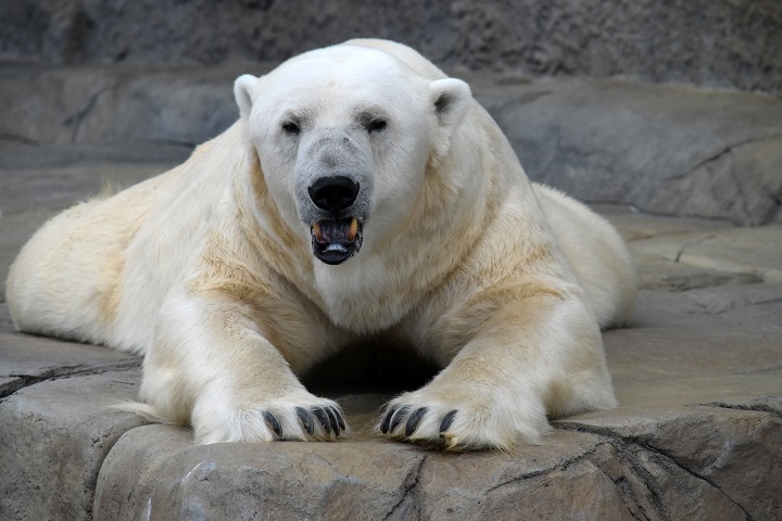a0151913_2524148.jpg