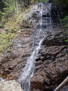 c0359615_09071558.jpg