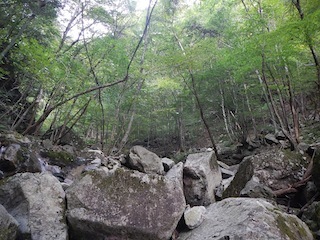 c0359615_09080878.jpg