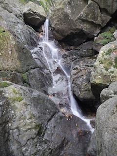 c0359615_09082163.jpg