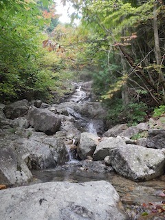 c0359615_09092055.jpg