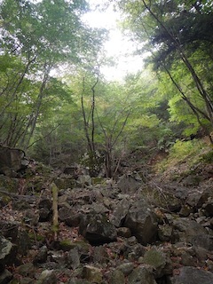 c0359615_09093332.jpg