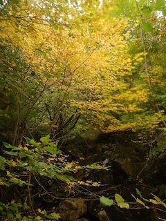 c0359615_09095425.jpg