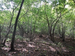 c0359615_09101806.jpg