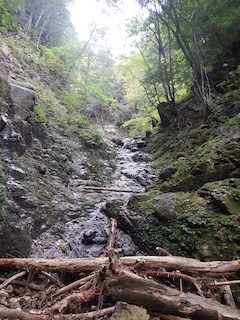 c0359615_09113879.jpg