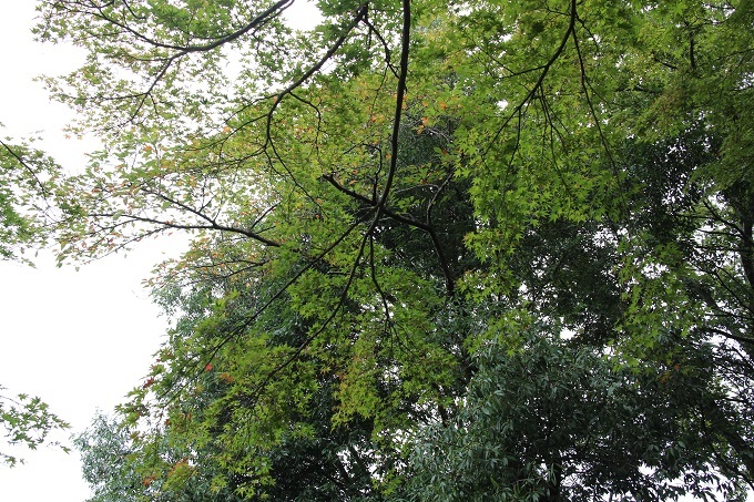 e0341417_00134000.jpg