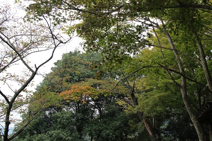 e0341417_00140728.jpg