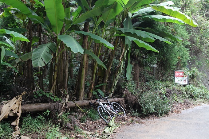 e0341417_00181209.jpg