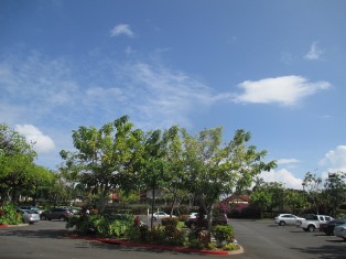 a0242019_5262929.jpg
