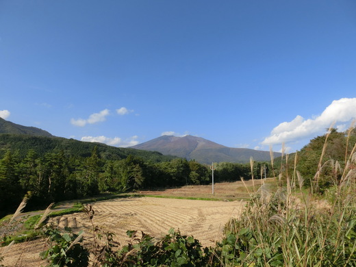 d0221319_13554516.jpg