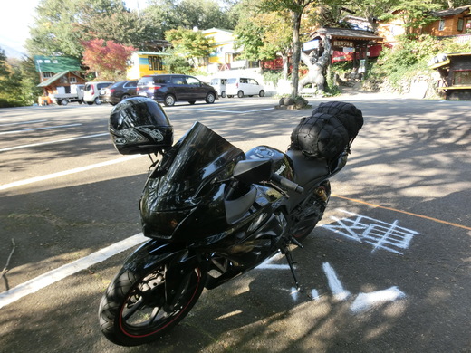 d0221319_1438919.jpg
