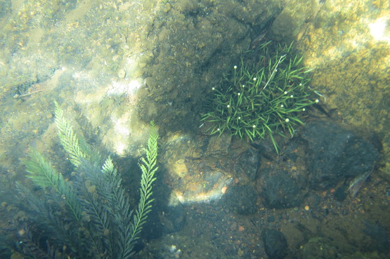 d0187020_1746386.jpg