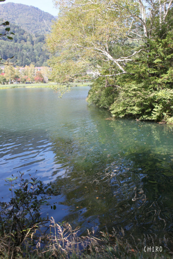 f0293522_19475705.jpg