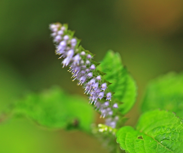 c0104227_2340434.jpg