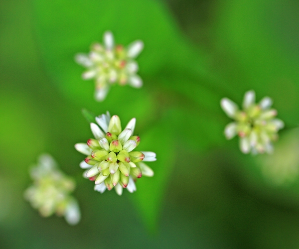 c0104227_23555441.jpg