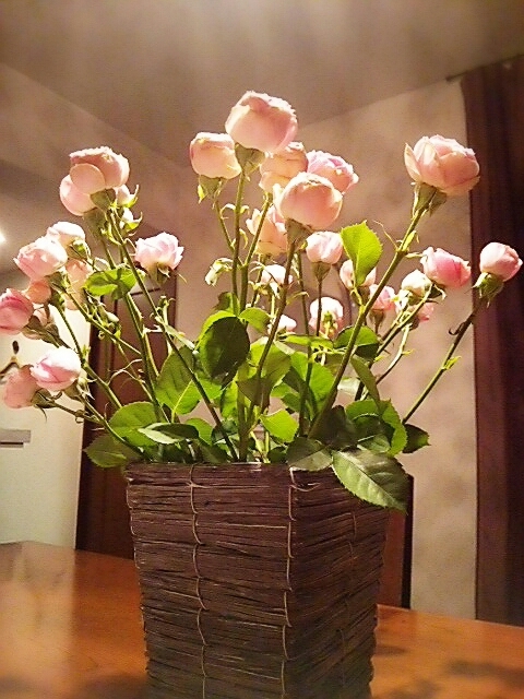 c0296630_18021872.jpg