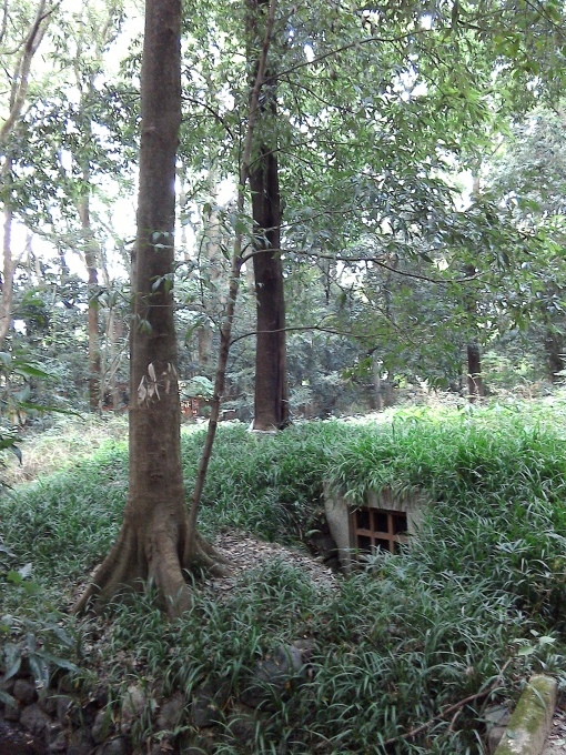 e0162536_16390383.jpg