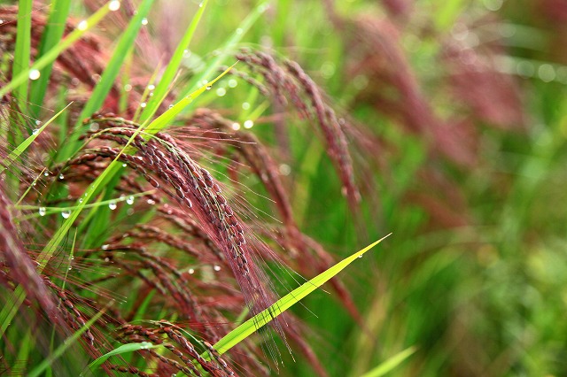 a0242438_1821154.jpg