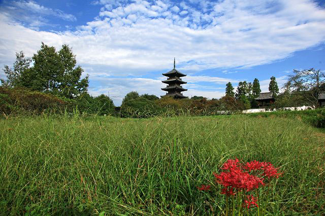 a0242438_18215078.jpg