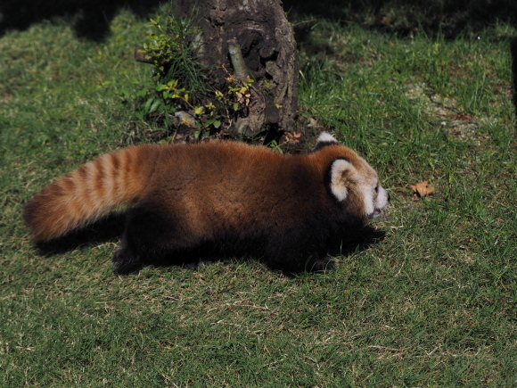 a0149740_20381404.jpg