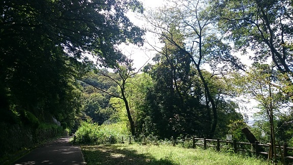 c0145449_22281439.jpg