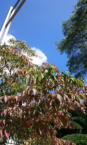 c0145449_22321357.jpg