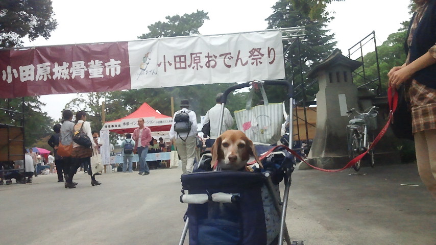 f0046250_1211416.jpg