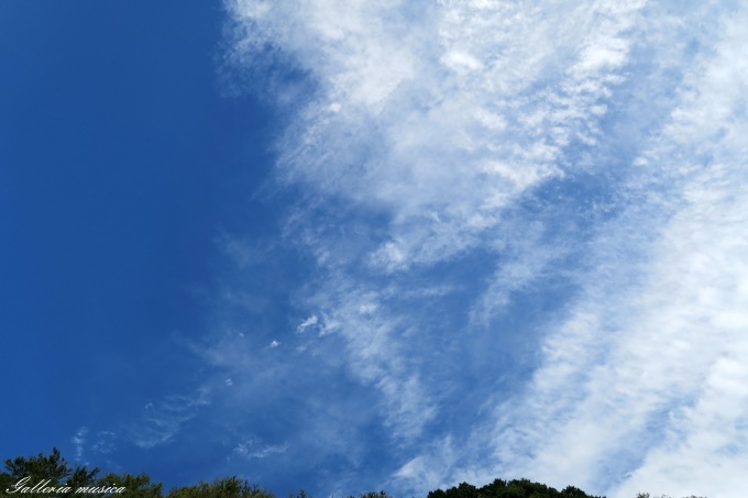 f0351853_17180698.jpg