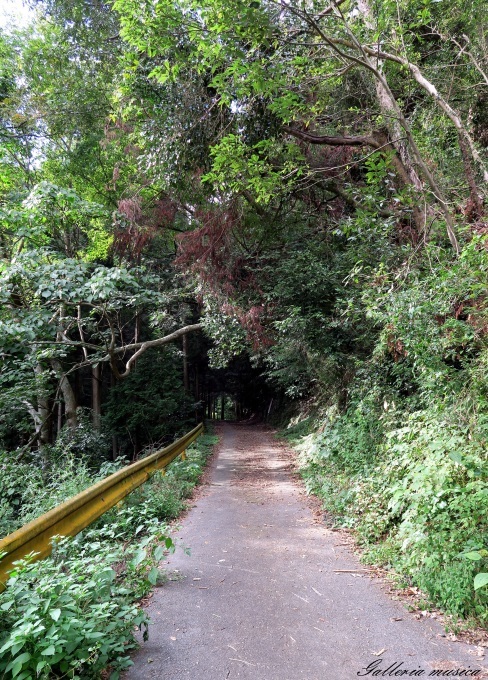 f0351853_17184344.jpg
