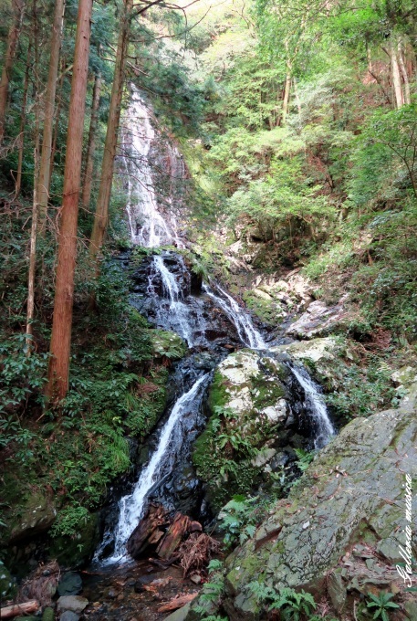f0351853_17192577.jpg