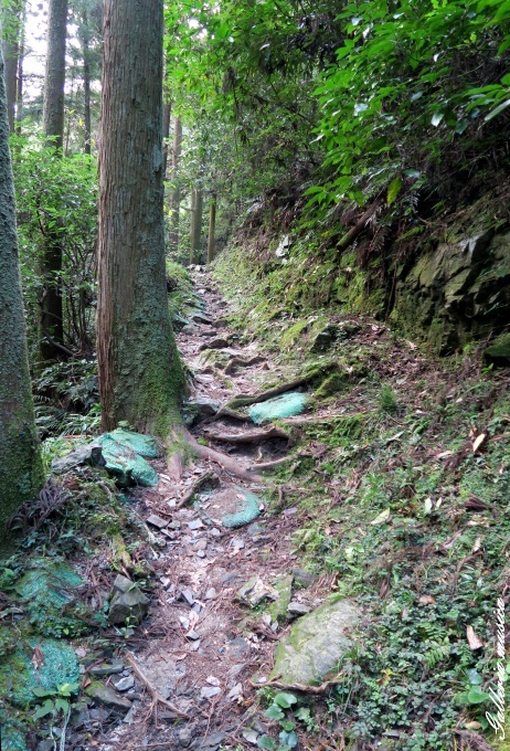 f0351853_17200030.jpg