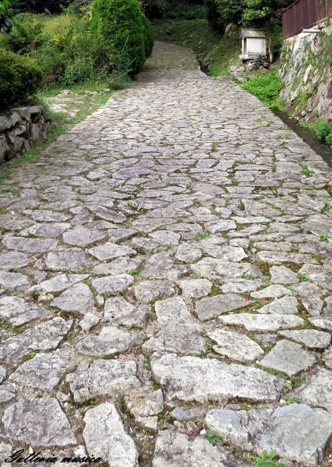 f0351853_18511014.jpg